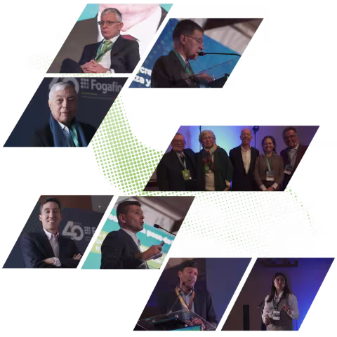 Imagen memorias 40 años